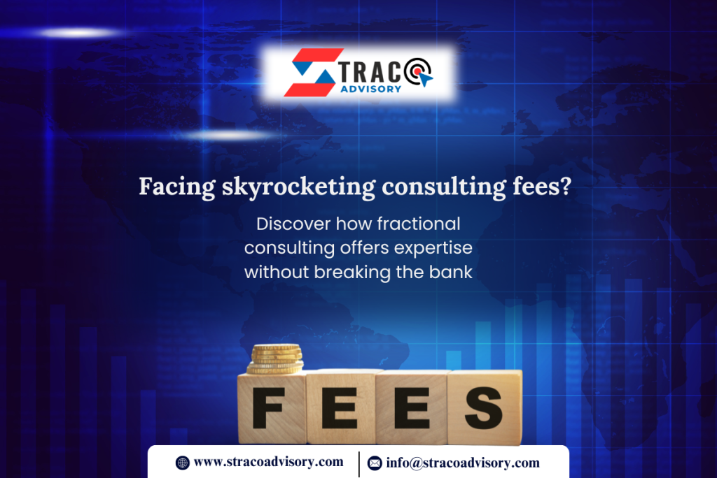 Fractional Consulting