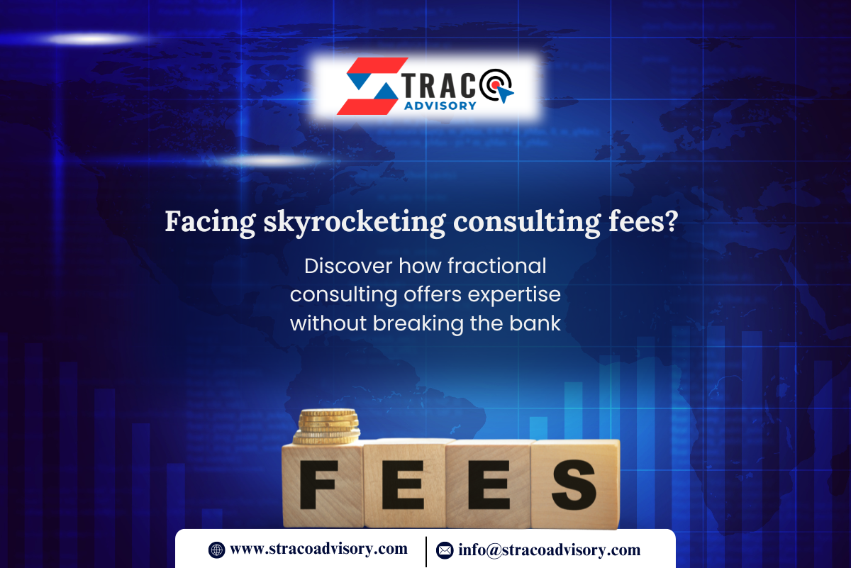 Fractional Consulting